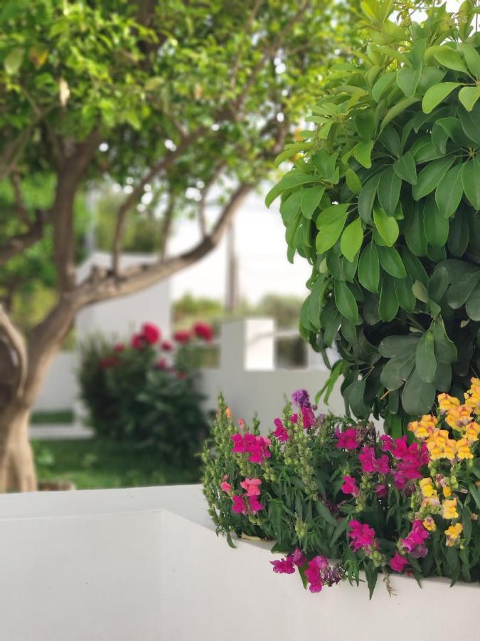 Villa Alykes House Near The Sea Artemida  Exterior foto